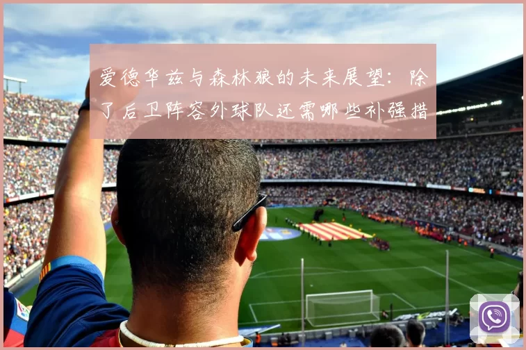 爱德华兹与森林狼的未来展望：除了后卫阵容外球队还需哪些补强措施